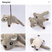 Shake Pygmy Flying Squirrel